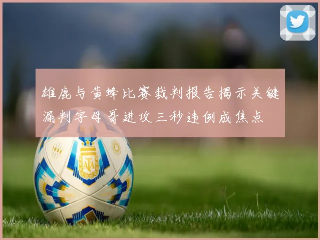 雄鹿与黄蜂比赛裁判报告揭示关键漏判字母哥进攻三秒违例成焦点