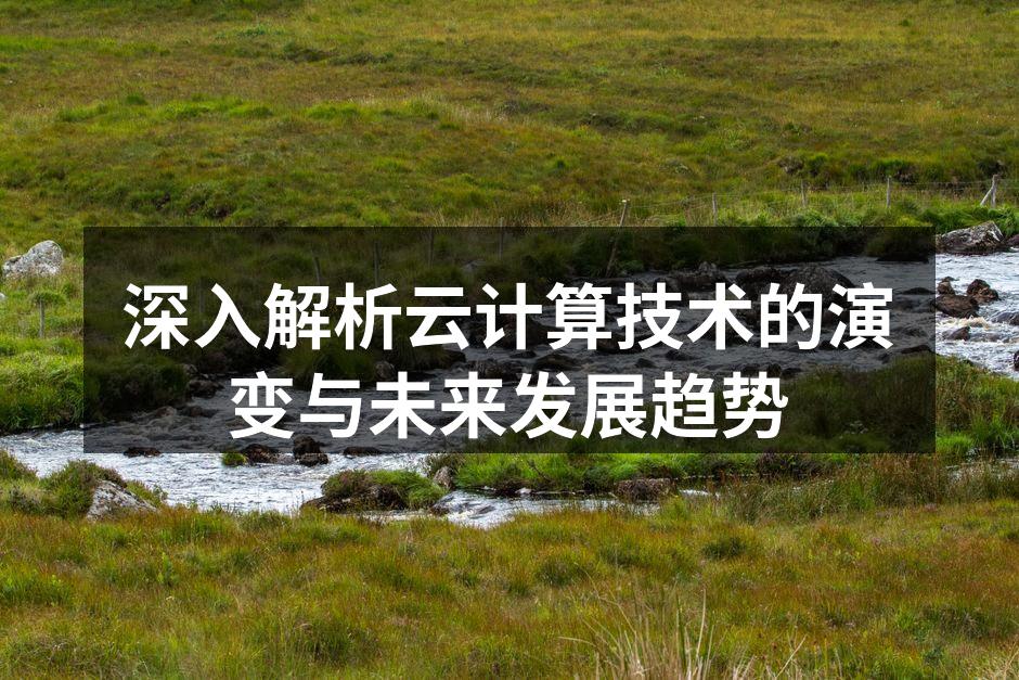 深入解析云计算技术的演变与未来发展趋势